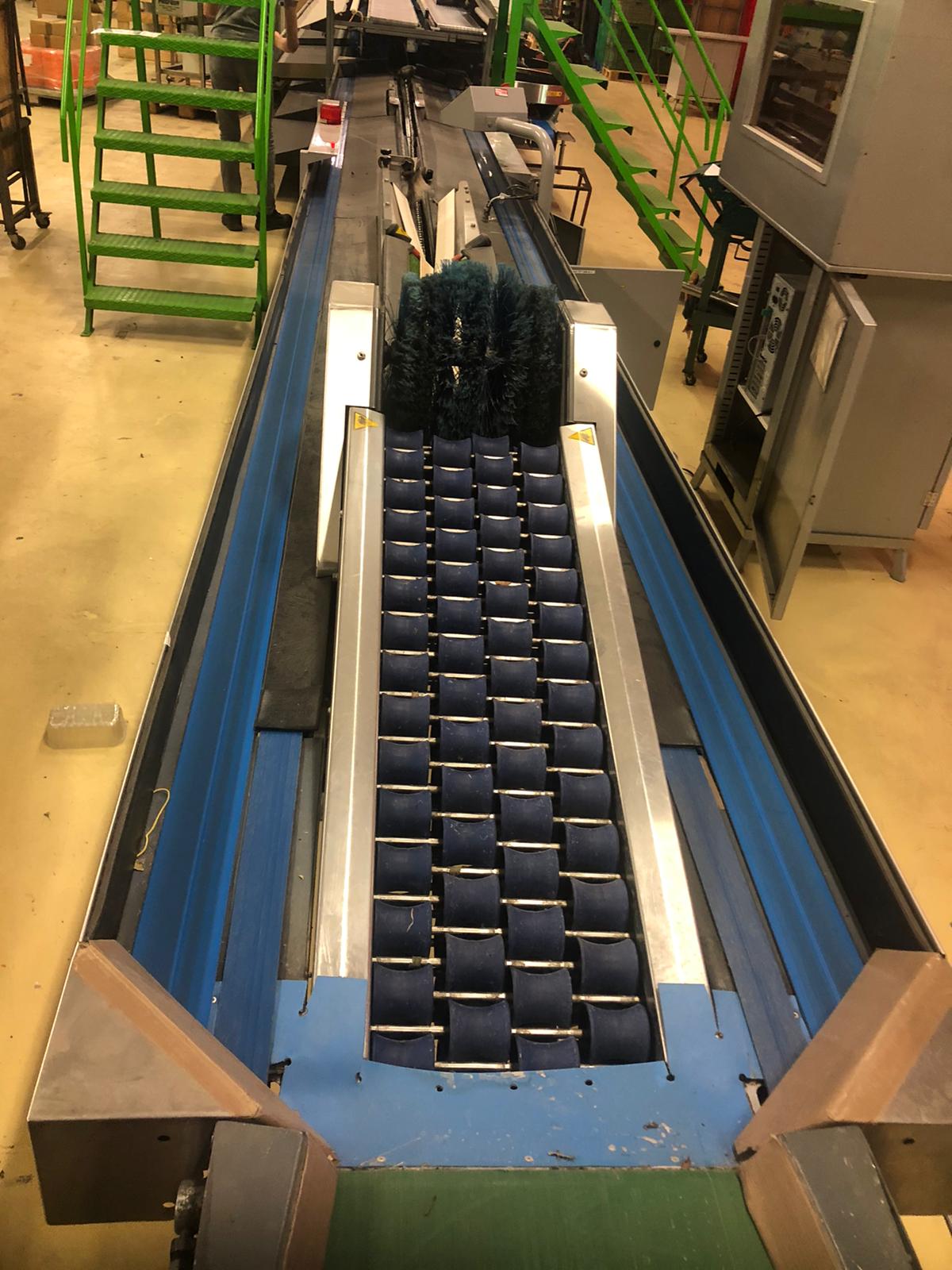 Compac electronic weight grader for apricots and plums