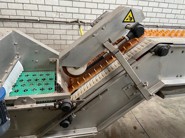 Christiaens Agro Systems fully automatic grading and washing line for asparagus
