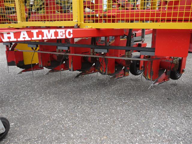 ����� Halmec Halters ��� ����� ��������