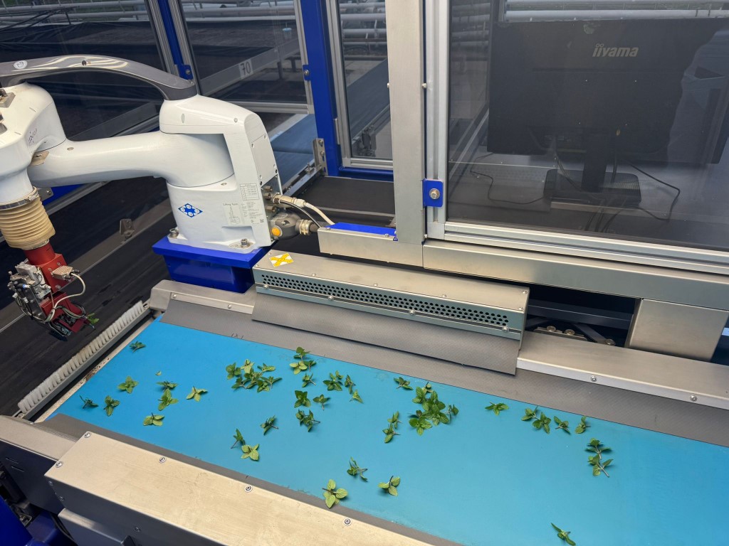 ISO 2500 & Planter Combi Линия для посадки растений Автоматический робот для резки и посадки растений в лотки и горшки