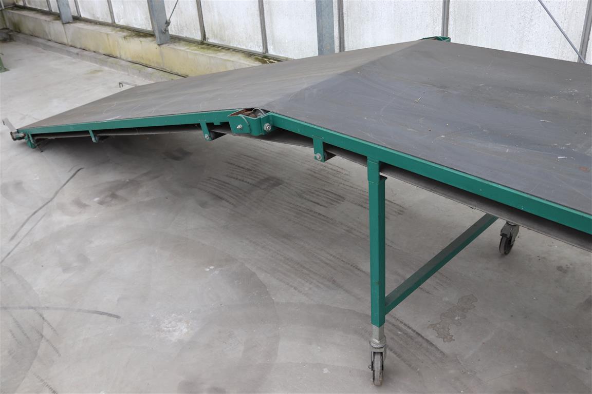 Конвейер Olimex 550 x 100 см