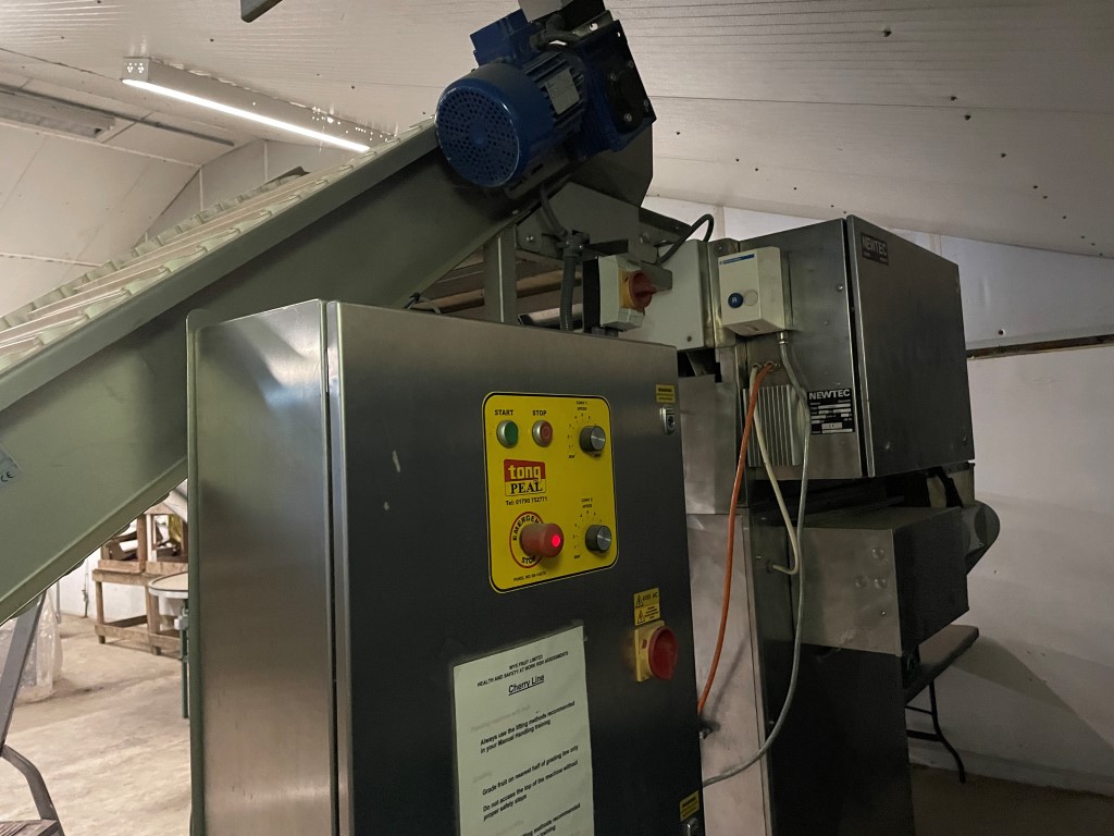 Линия взвешивания и упаковки корзин Newtec и Tong Peal