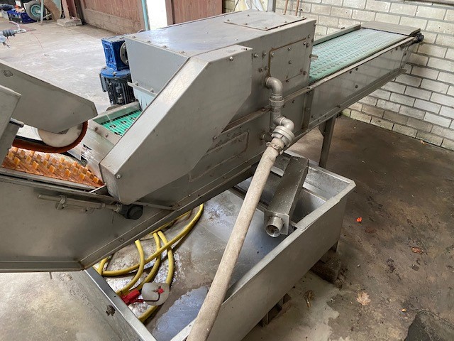 Christiaens Agro Systems fully automatic grading and washing line for asparagus