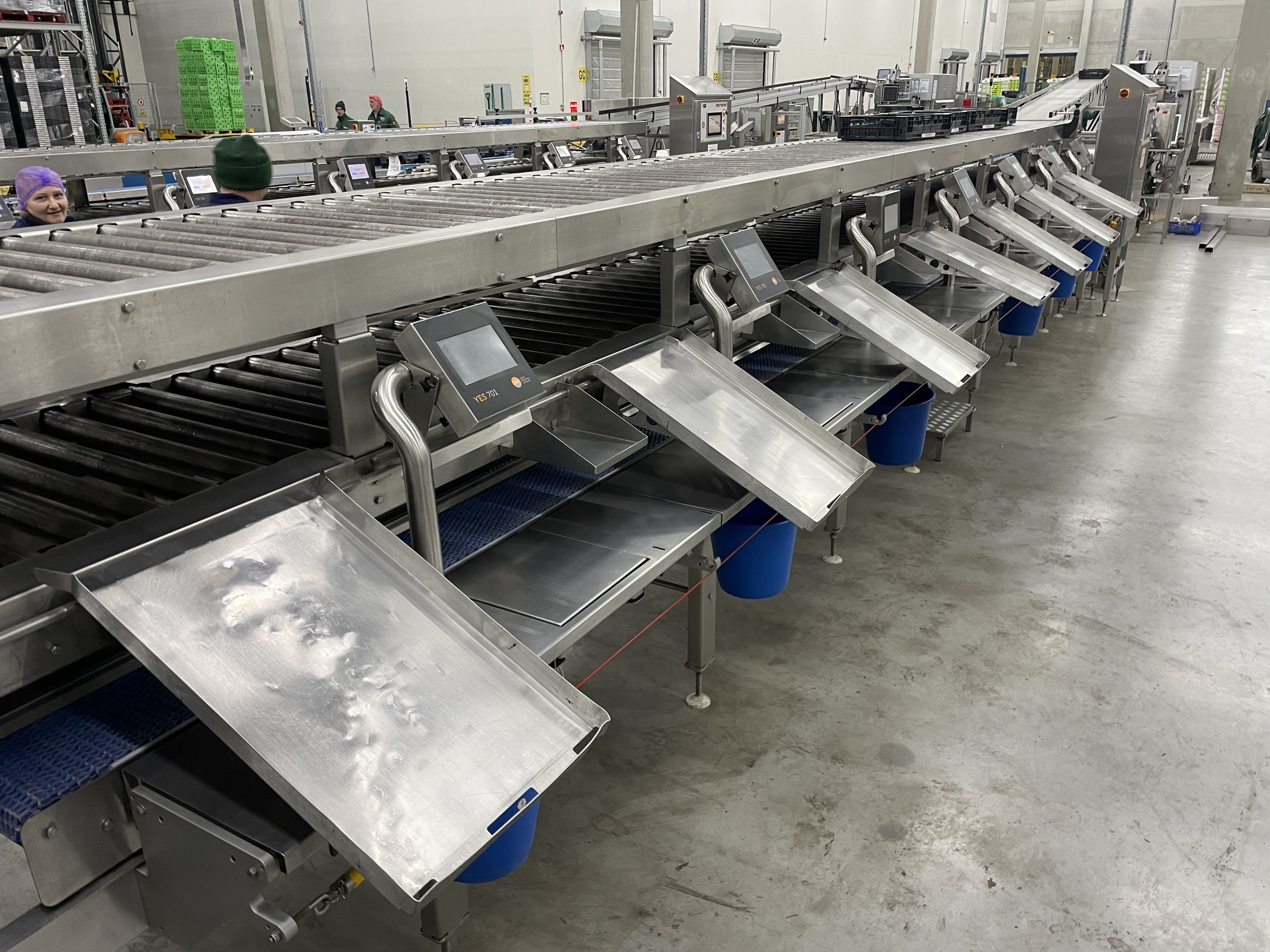 Proseal MC002 + SlipStream Весовая линия с разделителем полос и 14 позициями для взвешивания мягких фруктов.