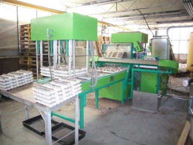 Ellegaard полностью автоматическая машина paperpotting