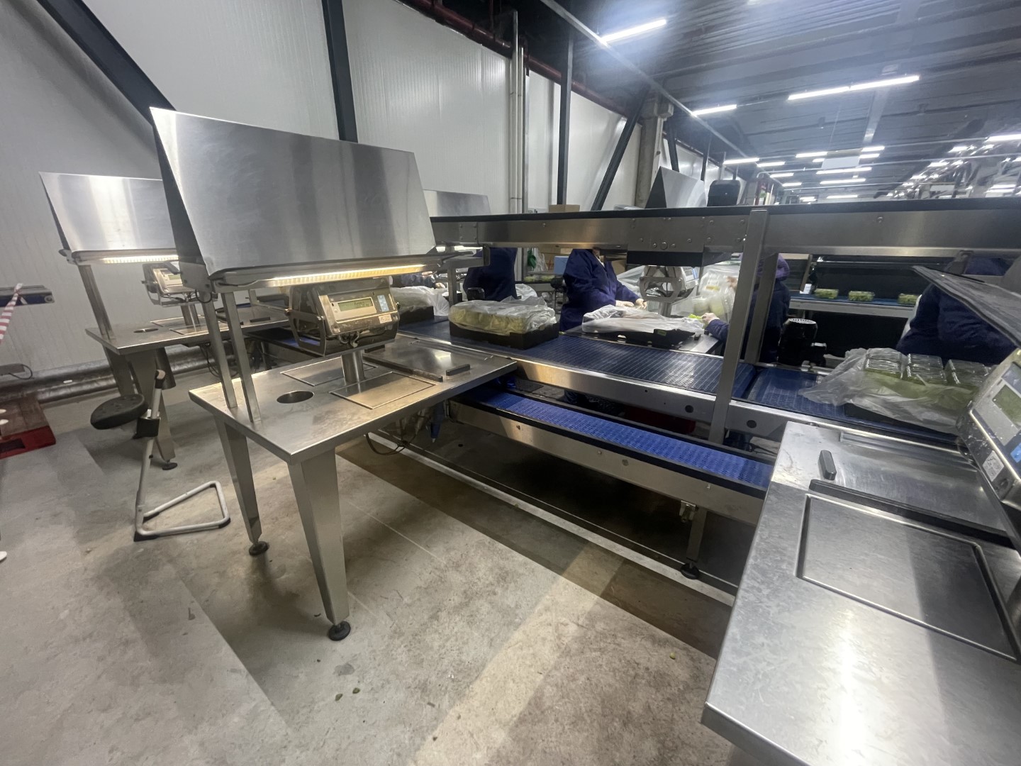 Greymans Paktech ���������������� � ����������� ����� � ������