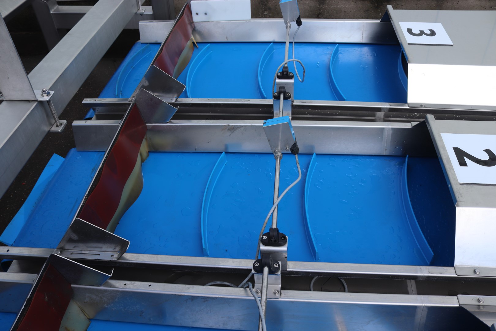Newtec 14-head weighing machine with supply conveyors