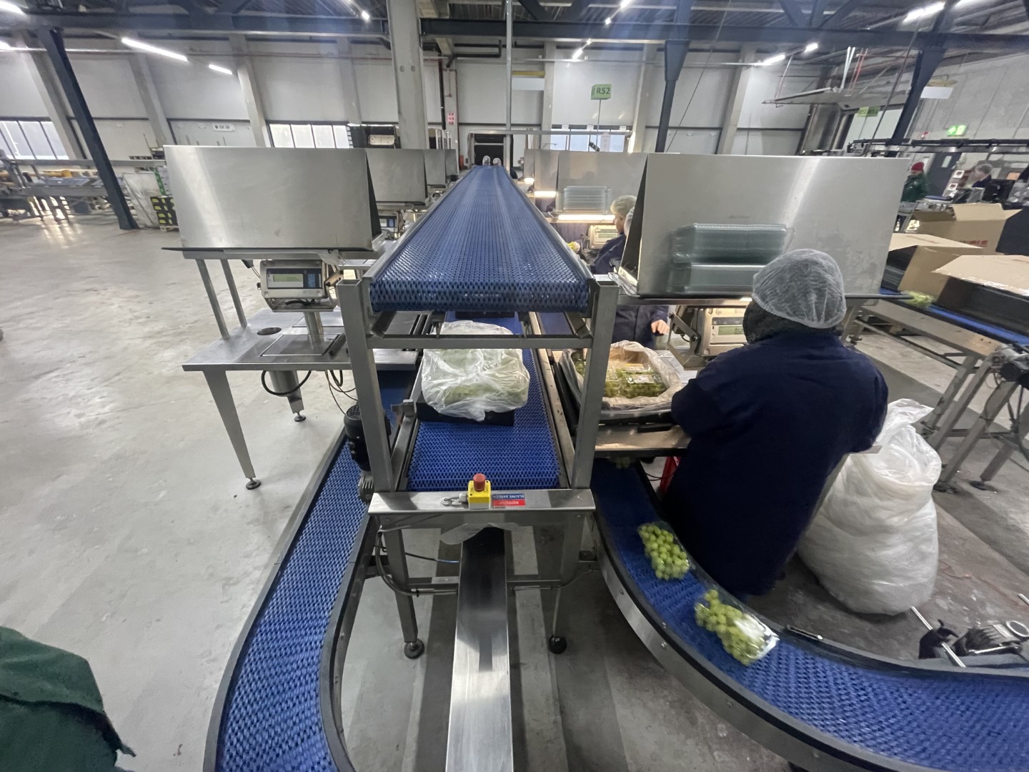 Greymans Paktech Производственная и упаковочная линия с весами