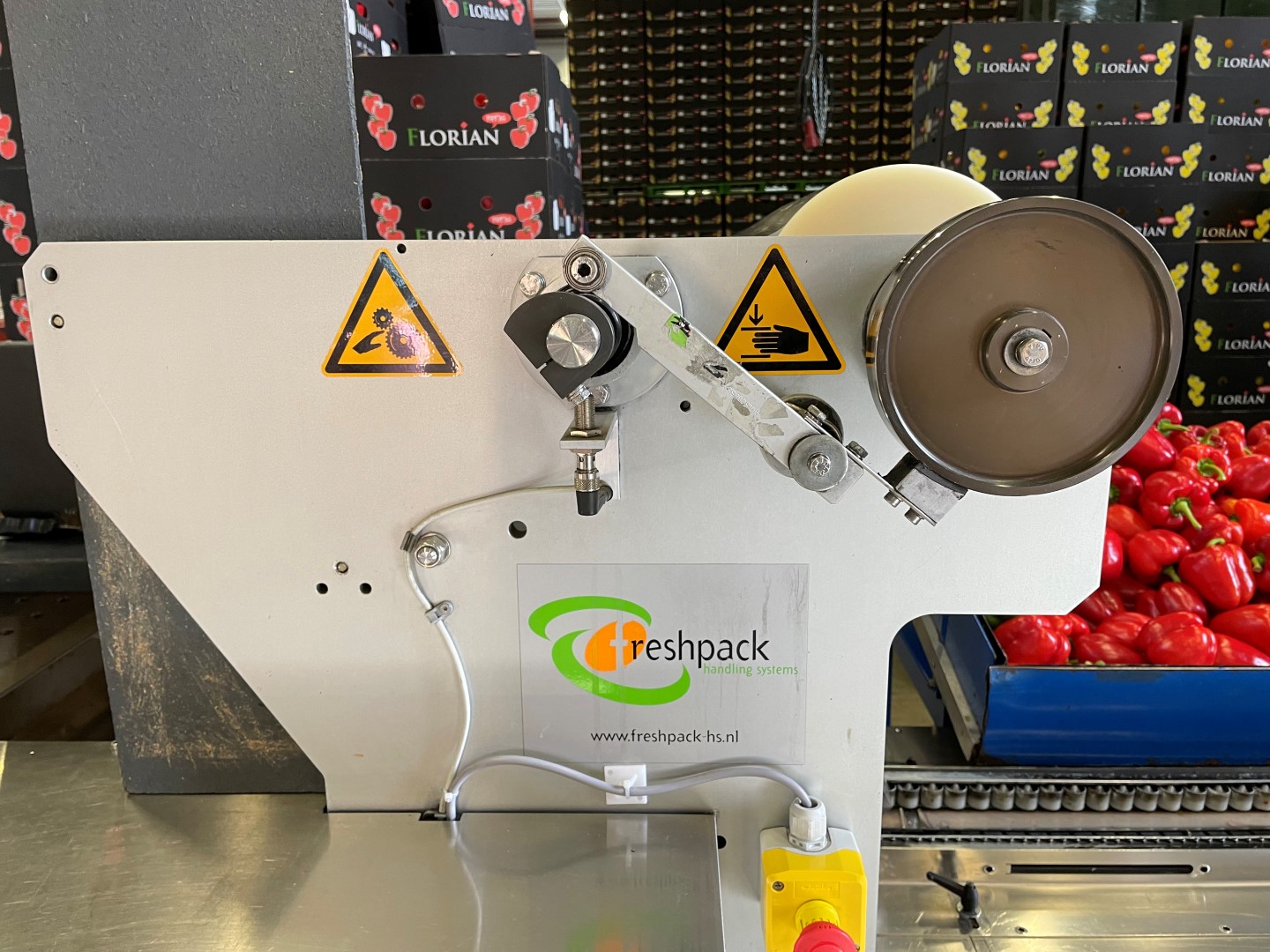 Affeldt weighing machine with GNA flowpacking machine for bell peppers