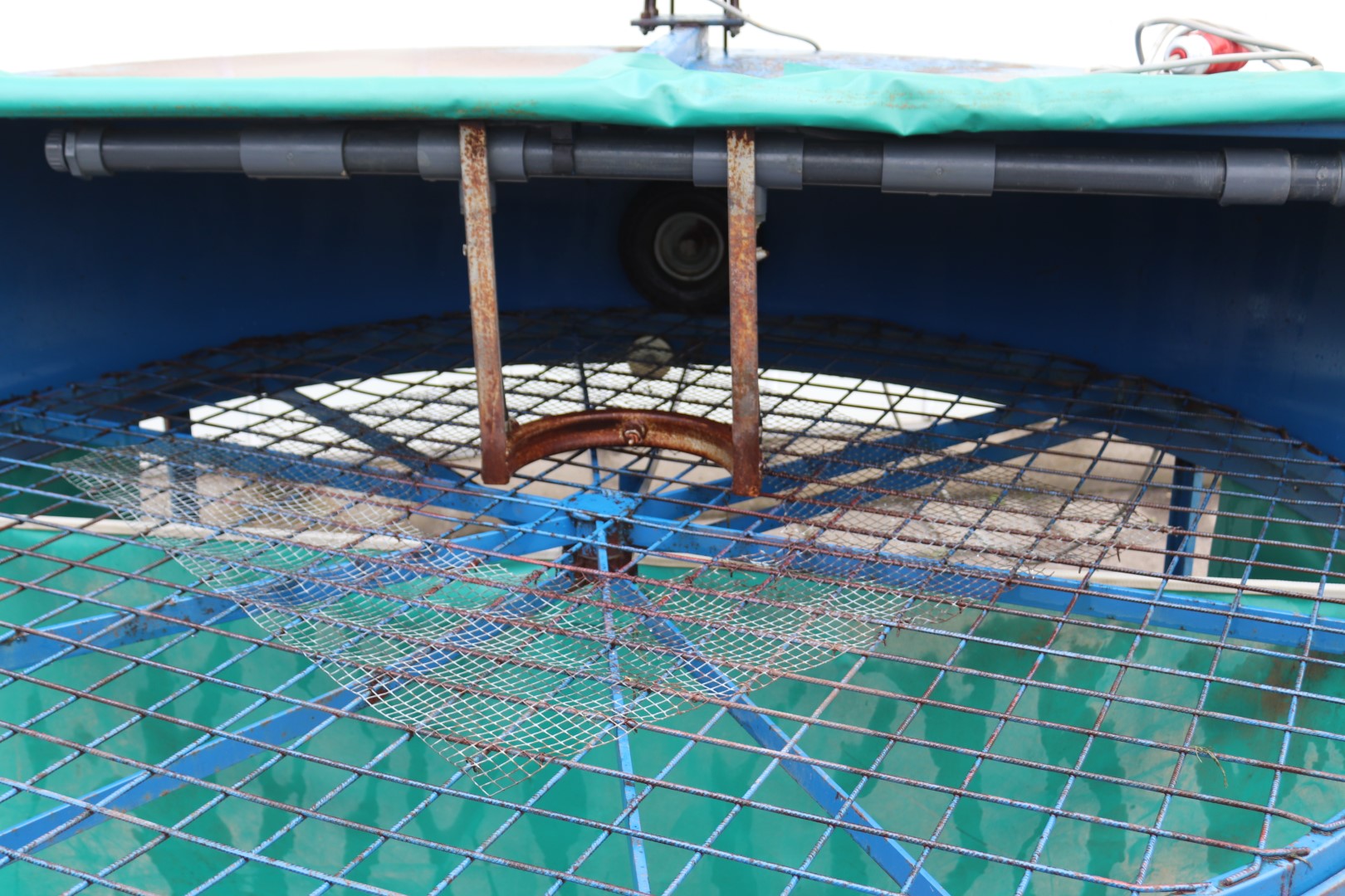 Rotary washing table for vegetables