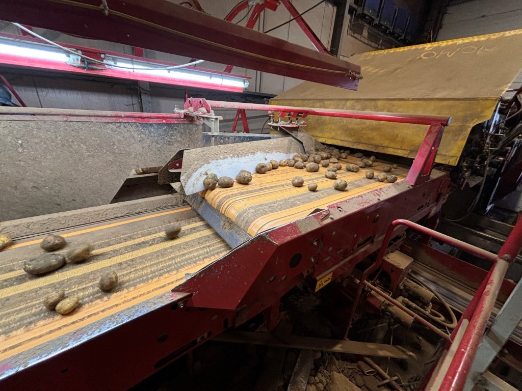 Grimme RH24 - 60 Combi Приемный бункер с предварительным сортировщиком и инспекционным столом
