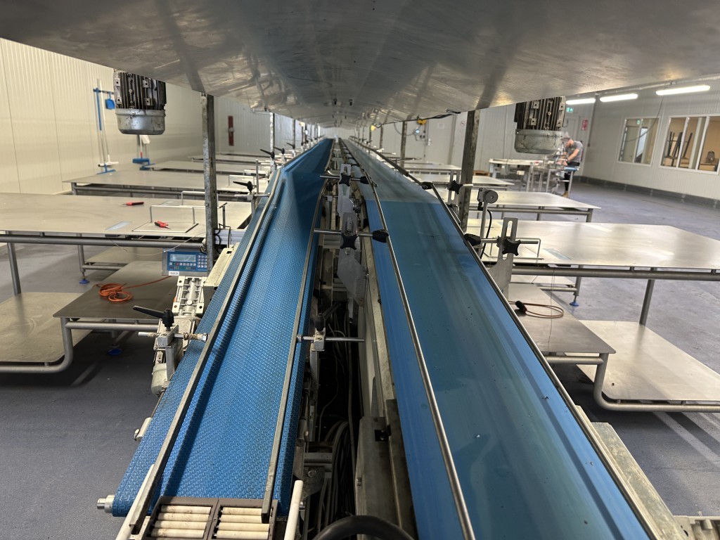 Martin Stolze combi conveyor Производственная и упаковочная линия с 11 рабочими столами Marco с весами