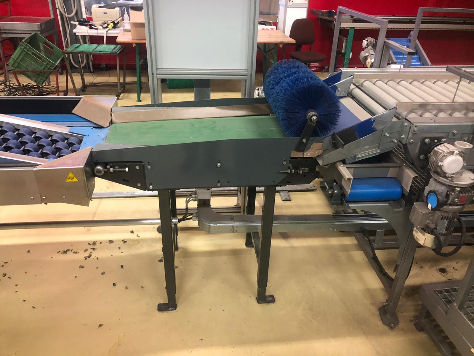 Compac electronic weight grader for apricots and plums