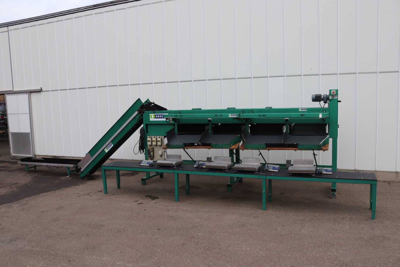 Greefa sorting machine for peppers