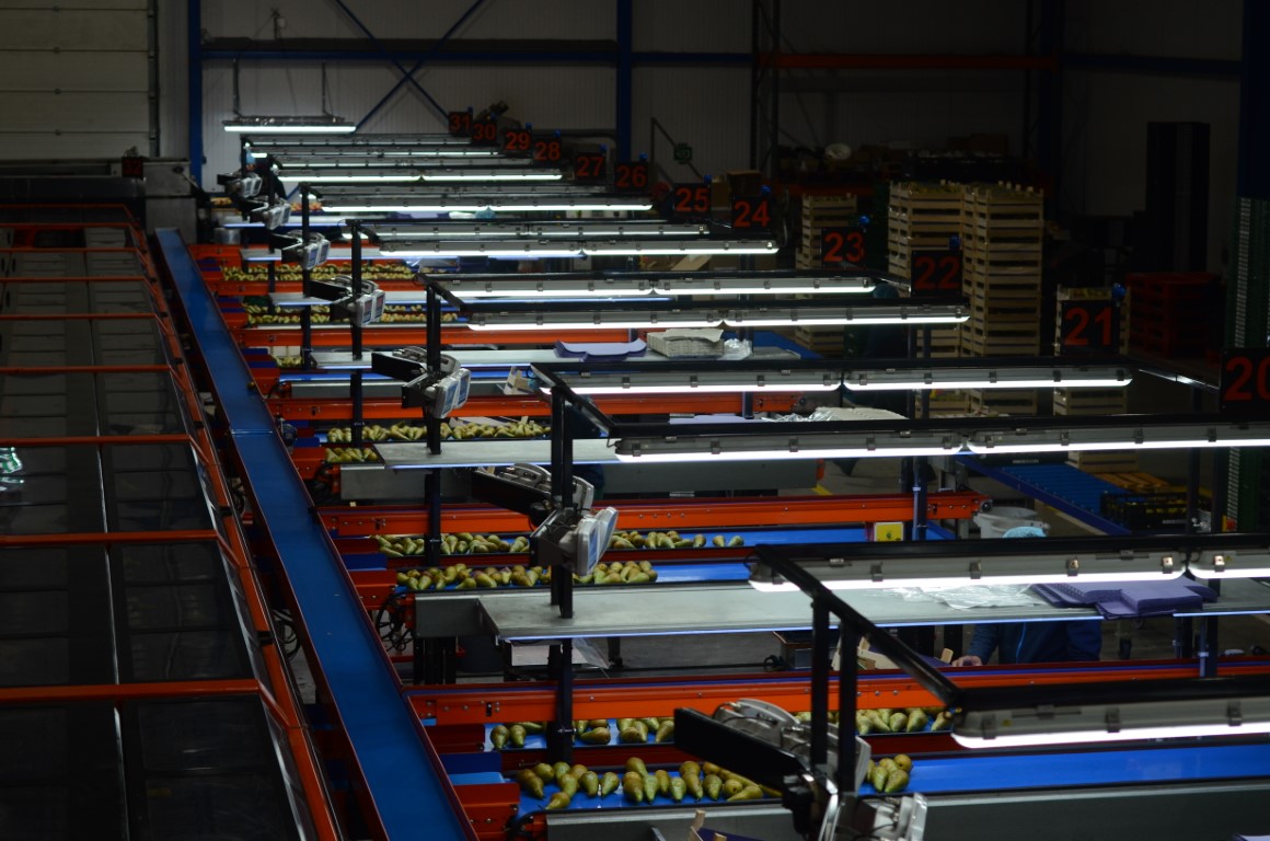 Wamel Perfect Unigrader 8 строк