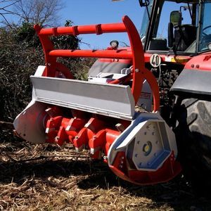 �������� ������� TFVJMF AMUR series ���������� ��� ����������������� ����� � 20 ���������