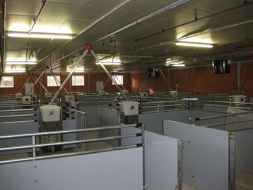 ������ ��� ������������� � ���������� �������