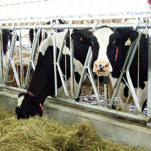 ���������� ����� ��� ����� � ������ �� ����������� ����� ������������