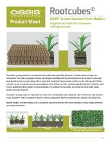 �������� �������� ���� Rootcubes� ������ ����������