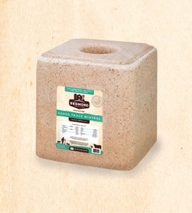 Redmond Minerals, Inc. : �������������� -