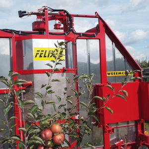 ��������� ������ ��� ������ KAREN ��������� 1����
