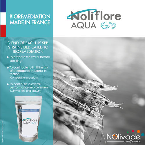 �������� ������� ��� �������� Noliflore Aqua ��� ���� ��� �������� ��� �������� ���������