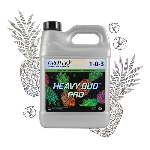 ������������ ��������� HEAVY BUD� PRO NK �������� ��� �������