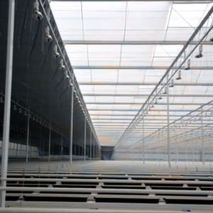 Huisman Scherming : ����������� -