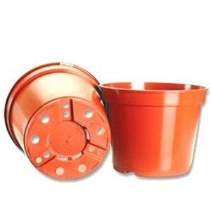 ������ �� �������� Container CR ������� ������