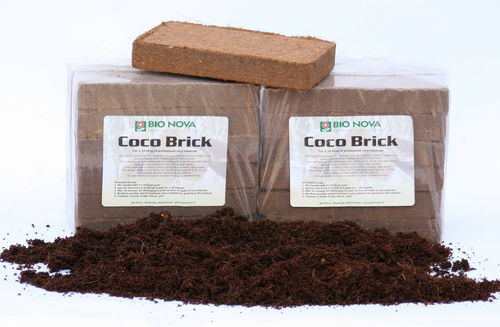 �������� �������� ��������� ���� CocoBricks ����� ����� ����������