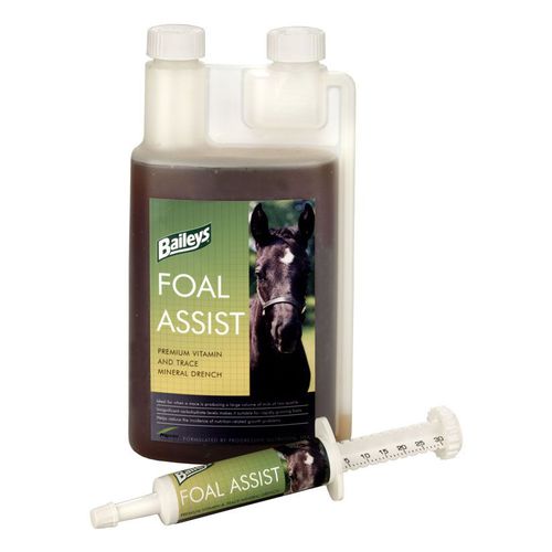 �������� ������� ��� �������� FOAL ASSIST ��� ������� �������� ��������