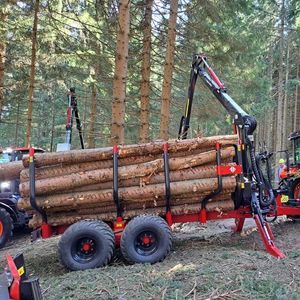 FARMI FOREST Corporation : ������������������� ������� -
