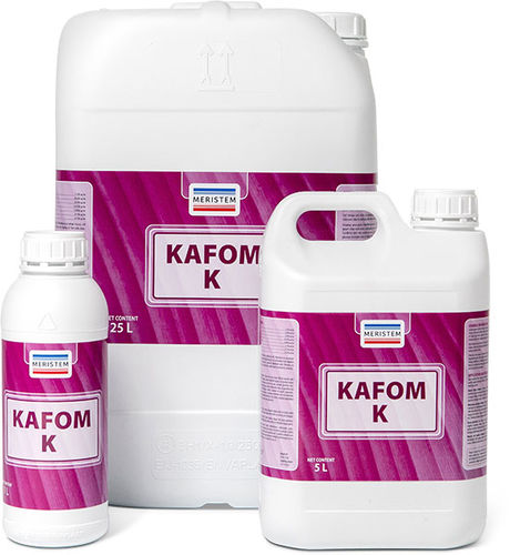 �������� ��������� Kafom K ������������ �������� ��������� ������ ��������