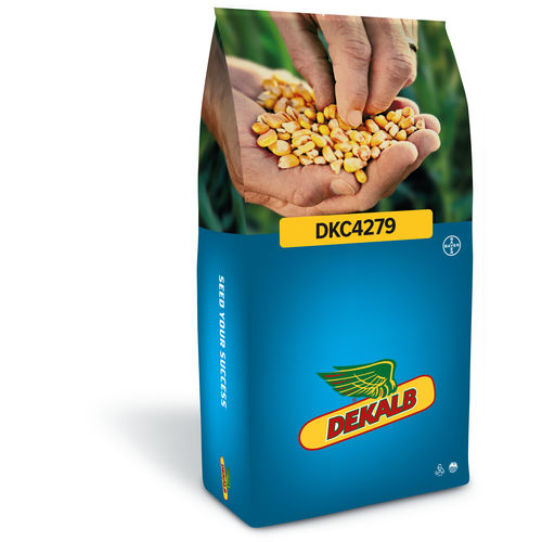 ���������� ������ �������� DKC4279 ����������� ��� ����������� ���������