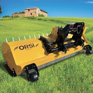 ORSI GROUP SRL : ������������������� ������� -