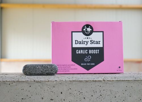 ����� ������� DairyStar Garlic Boost ��� �������� �������� ����� ������������ ��� ���������� ������