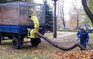 ������� ������� ���������� ���� Oskar