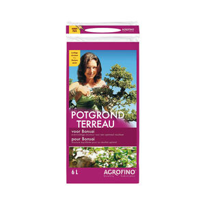�������� �������� ���� FLORAURA � �����