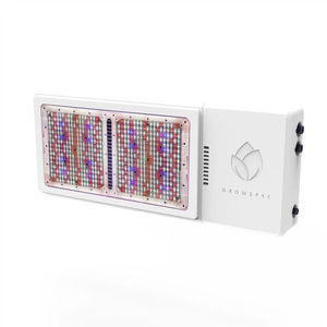 GrowSpec : ����������� -