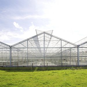 Prins Group : ����������� -