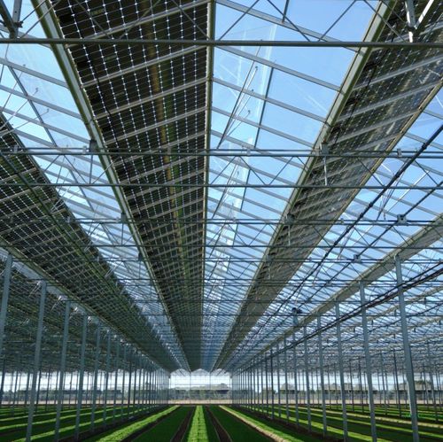 ������� ����� Solar Venlo� � ����������� ������� �� ������ � ��������� ��������
