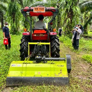 THAI ACHITECH : �������� � ������������ ������ -