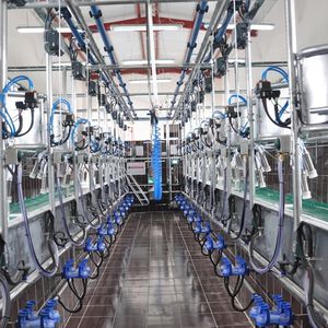 ����� ��� ����� ��� ����� � �������� �������