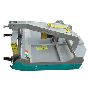 Sacchetto Giuseppe D.I. : �������������������� ������ -