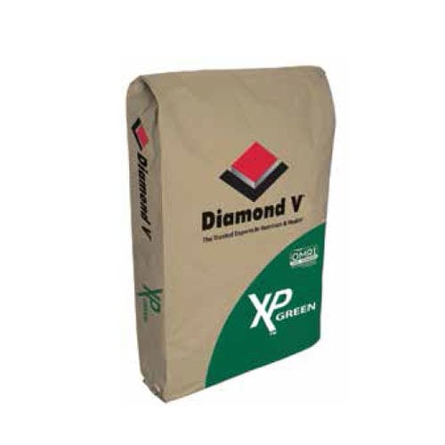 �������� ������� ��� �������� Original XP� GREEN ��� �������� �������� ����� �������� ��� ���������