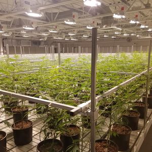Innovative Growers Equipment Inc : ����������� -