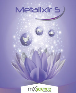 MiXscience : �������������� -
