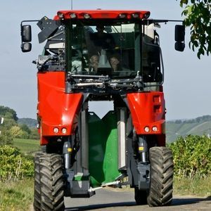 Binger Seilzug : �������������������� ������ -