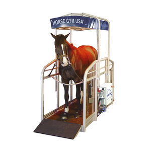 Horse Gym USA : �������������� -