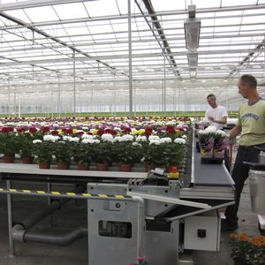 �������� ��� ���������� SmartFlo Conveyor belt system ���������